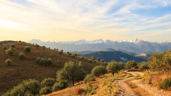 Guide des signes indiquant le besoin d'une intervention anti nuisible en Drôme