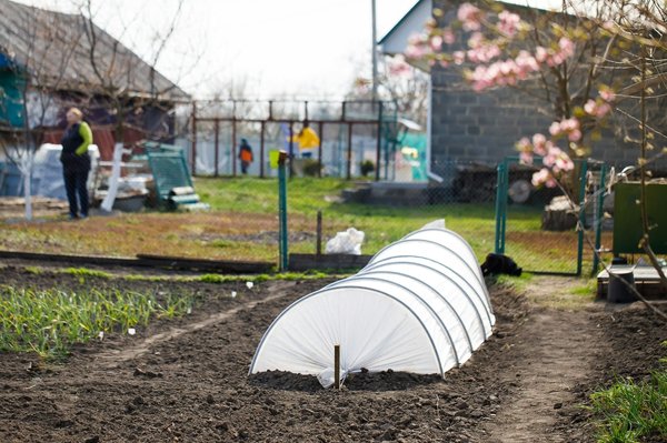 Tunnel de forçage : comment l'installer ?