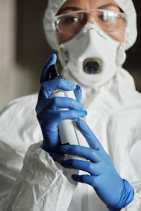 Expert anti nuisible Drome : à quel moment solliciter une intervention ?